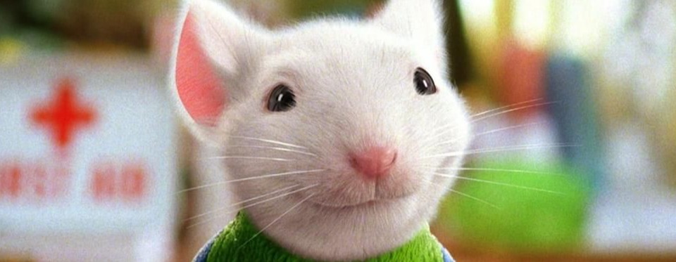 Stuart Little