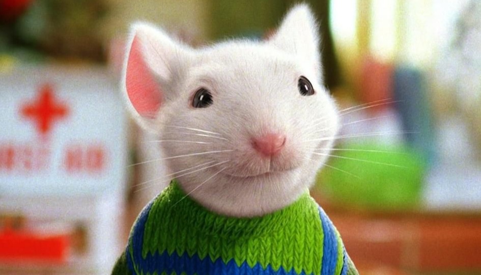 Stuart Little